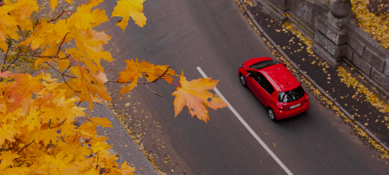 Car Rental and Driver License, Canada Immigration