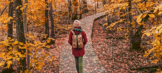 Your First Week in Canada, Canada Immigration GLobal